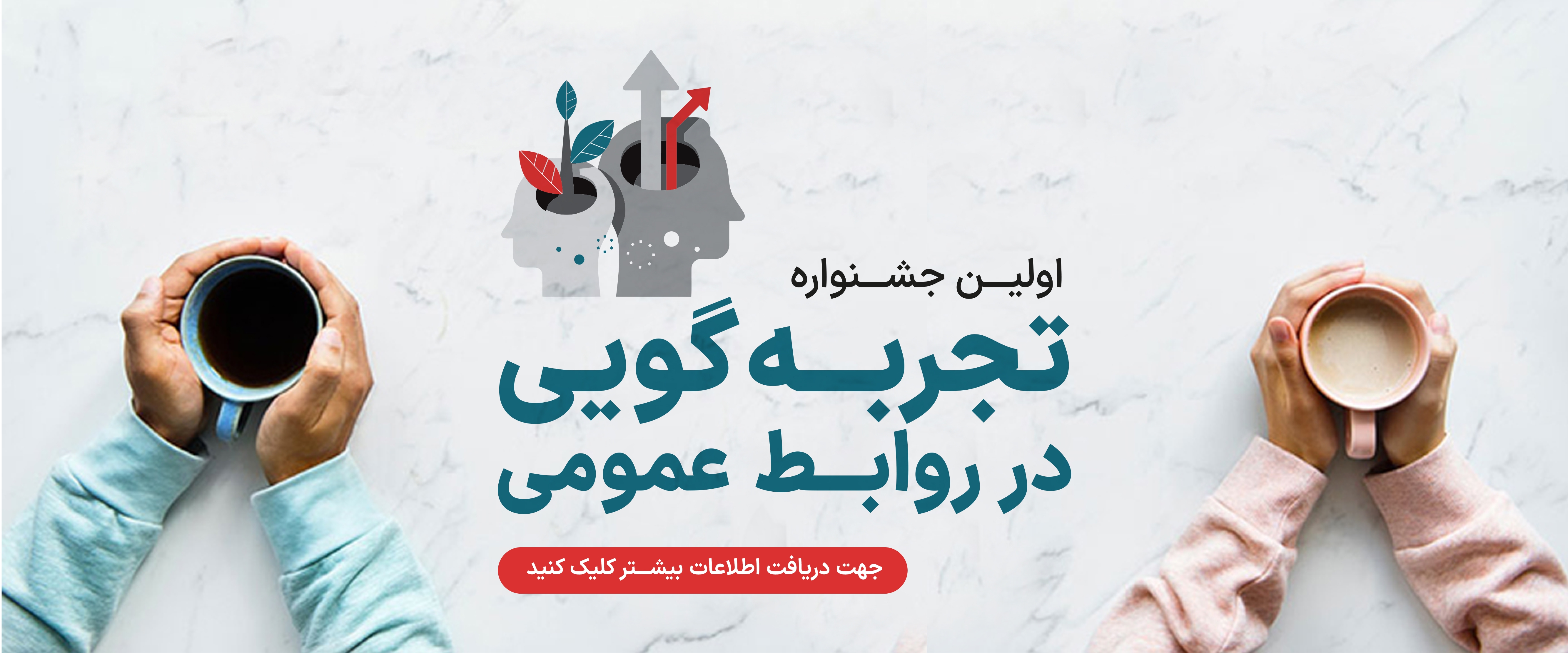 تجربه‌گویی